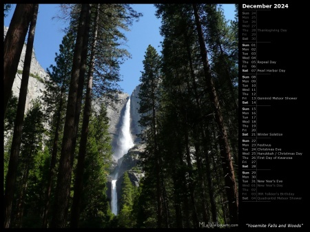 Yosemite Falls and Woods