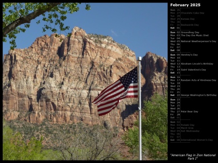 American Flag in Zion National Park I