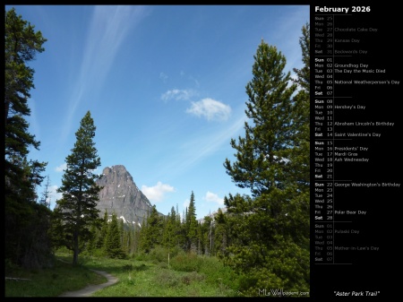 Aster Park Trail