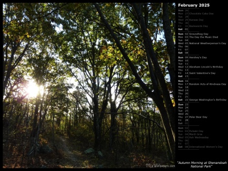 Autumn Morning at Shenandoah National Park