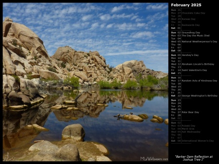 Barker Dam Reflection at Joshua Tree I