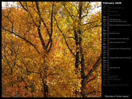 Branches of Yellow Leaves