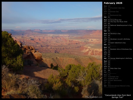 Canyonlands View from Neck Springs Trail