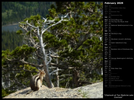 Chipmunk at Two Medicine Lake Overlook