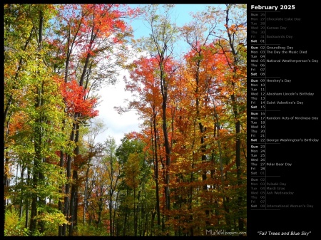 Fall Trees and Blue Sky