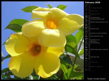 Golden Trumpet Flowers