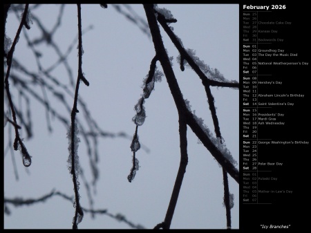 Icy Branches