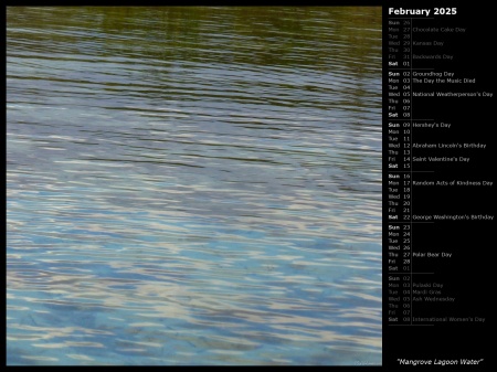 Mangrove Lagoon Water