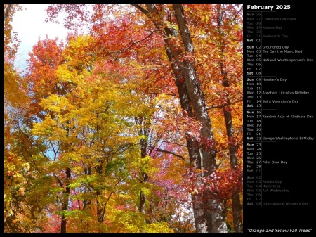 Orange and Yellow Fall Trees