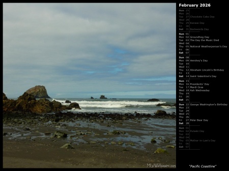 Pacific Coastline