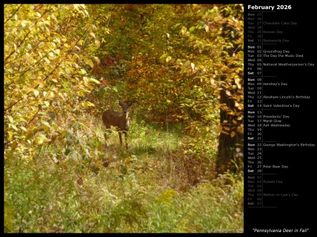 Pennsylvania Deer in Fall