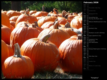 Pumpkins