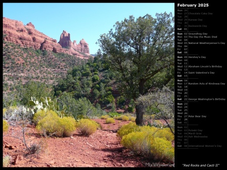 Red Rocks and Cacti II