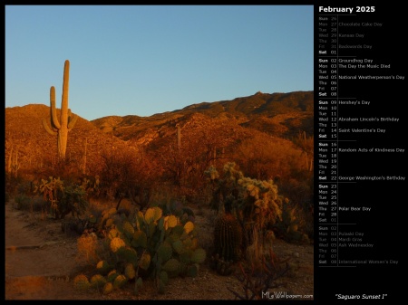 Saguaro Sunset I