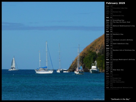 Sailboats in the Bay