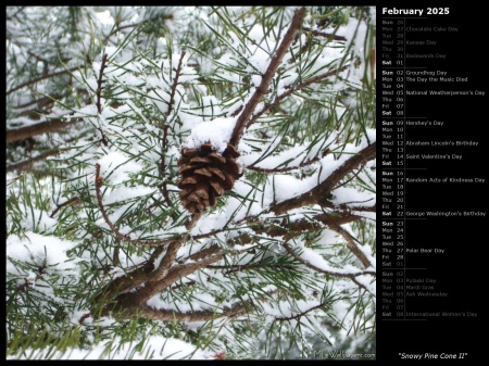 Snowy Pine Cone II