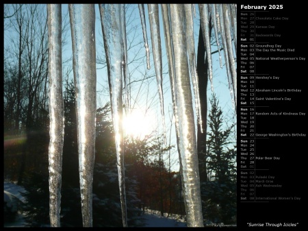 Sunrise Through Icicles