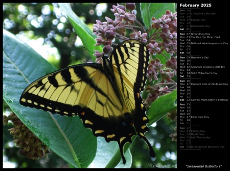 Swallowtail Butterfly I