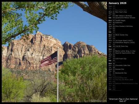 American Flag in Zion National Park II