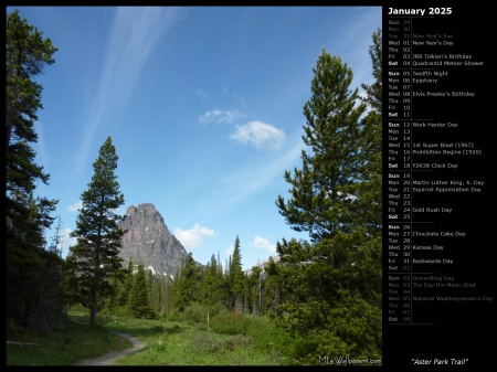 Aster Park Trail