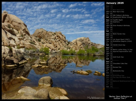 Barker Dam Reflection at Joshua Tree I