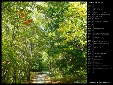 Centennial Wooded Path I