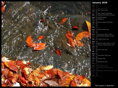 Fall Leaves in Waterfall