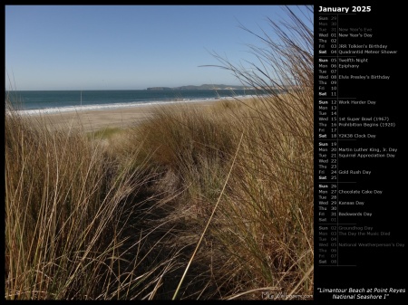 Limantour Beach at Point Reyes National Seashore I