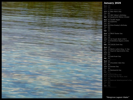 Mangrove Lagoon Water