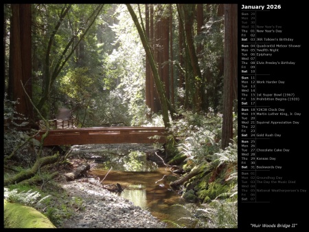 Muir Woods Bridge II