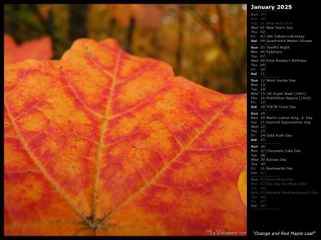 Orange and Red Maple Leaf