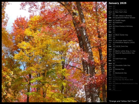 Orange and Yellow Fall Trees