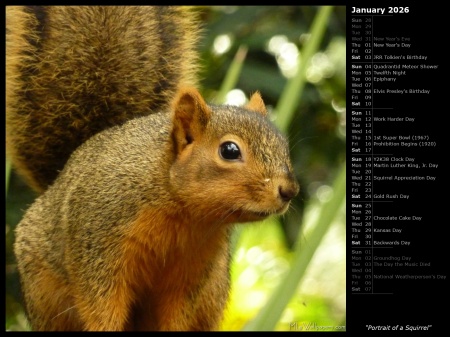 Portrait of a Squirrel