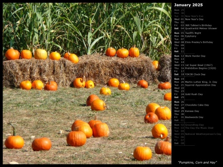 Pumpkins, Corn and Hay