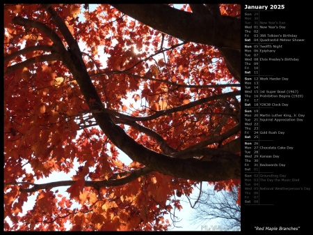 Red Maple Branches