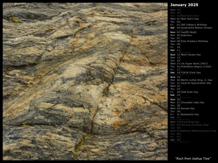 Rock from Joshua Tree