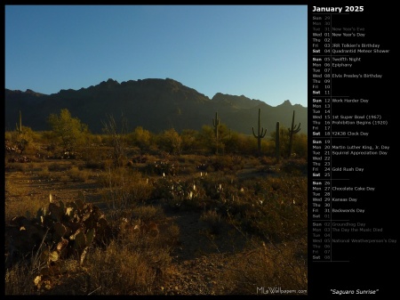 Saguaro Sunrise