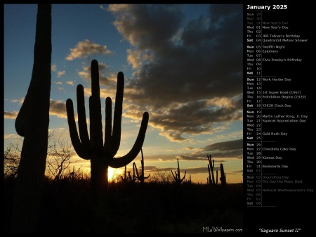 Saguaro Sunset II