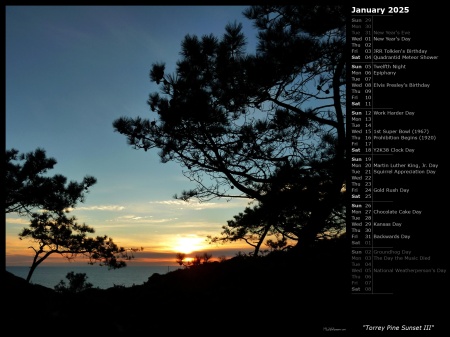 Torrey Pine Sunset III