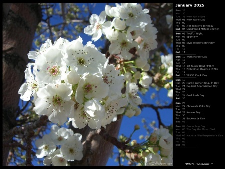 White Blossoms I