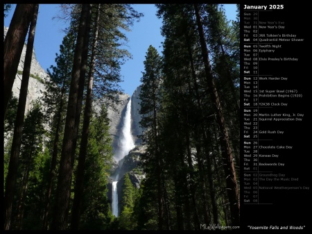 Yosemite Falls and Woods