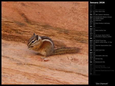 Zion Chipmunk