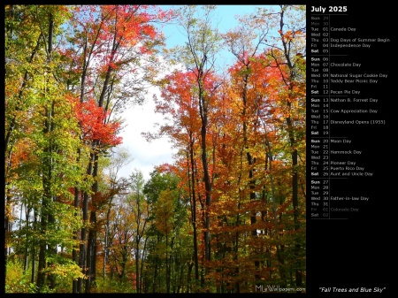 Fall Trees and Blue Sky