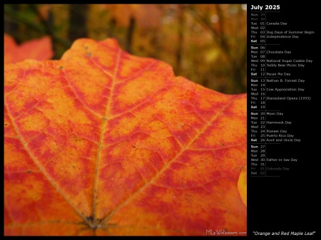 Orange and Red Maple Leaf