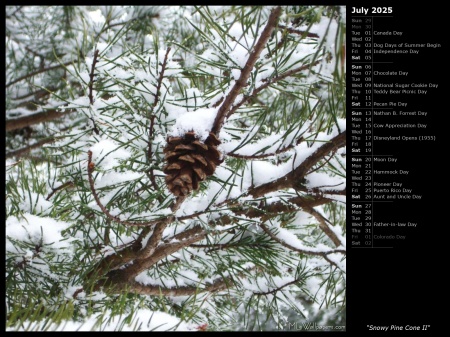 Snowy Pine Cone II