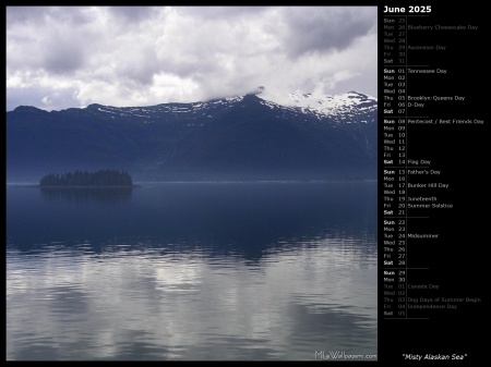 Misty Alaskan Sea