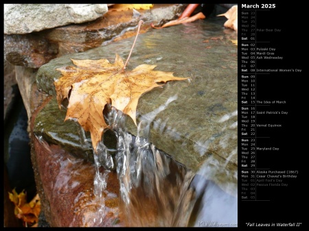 Fall Leaves in Waterfall II