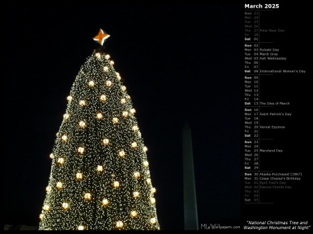 National Christmas Tree and Washington Monument at Night
