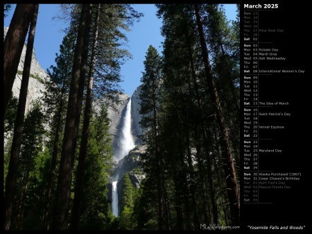 Yosemite Falls and Woods