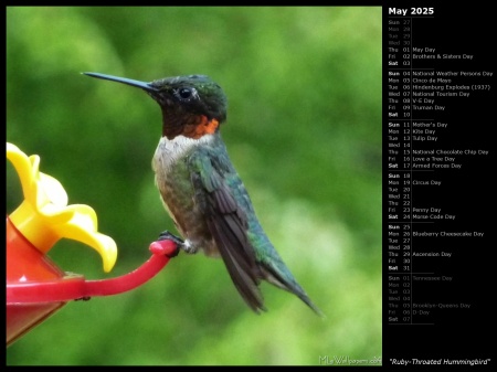 Ruby-Throated Hummingbird